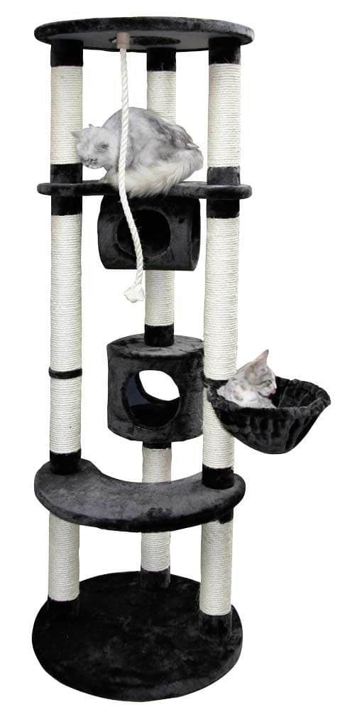 Arbre A Chat Empire Livraison Gratuite Cat Tree Fr