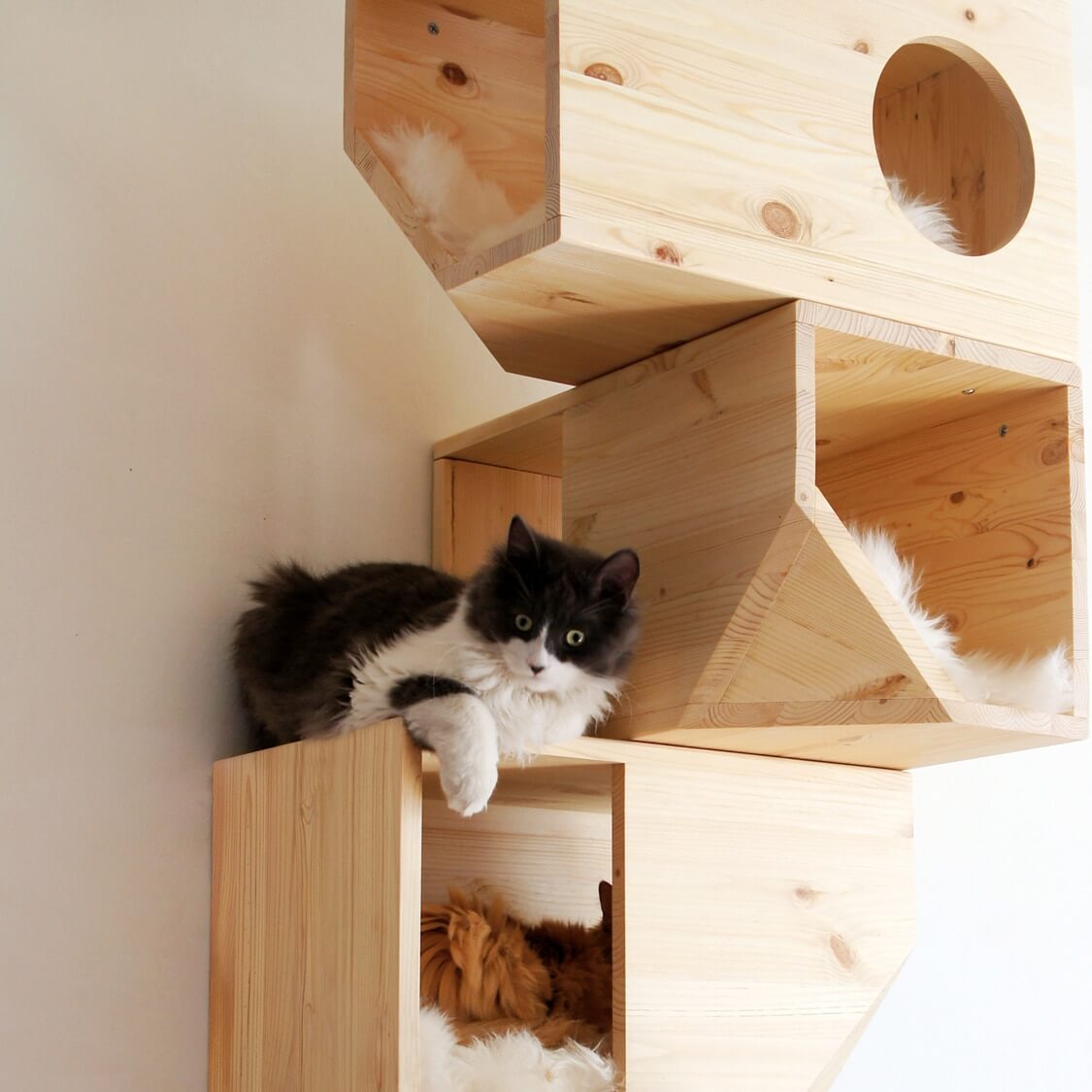 Cat Tree Fr Leader De La Vente D Arbres A Chat De Qualite En Ligne