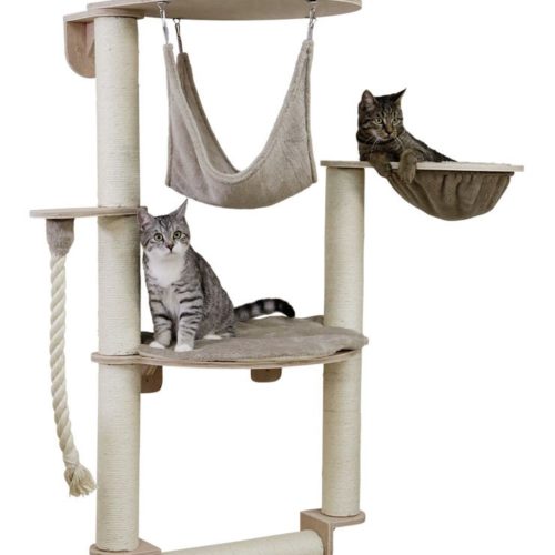 Ponts Suspendus Arbres A Chat Livraison Gratuite Cattree Fr